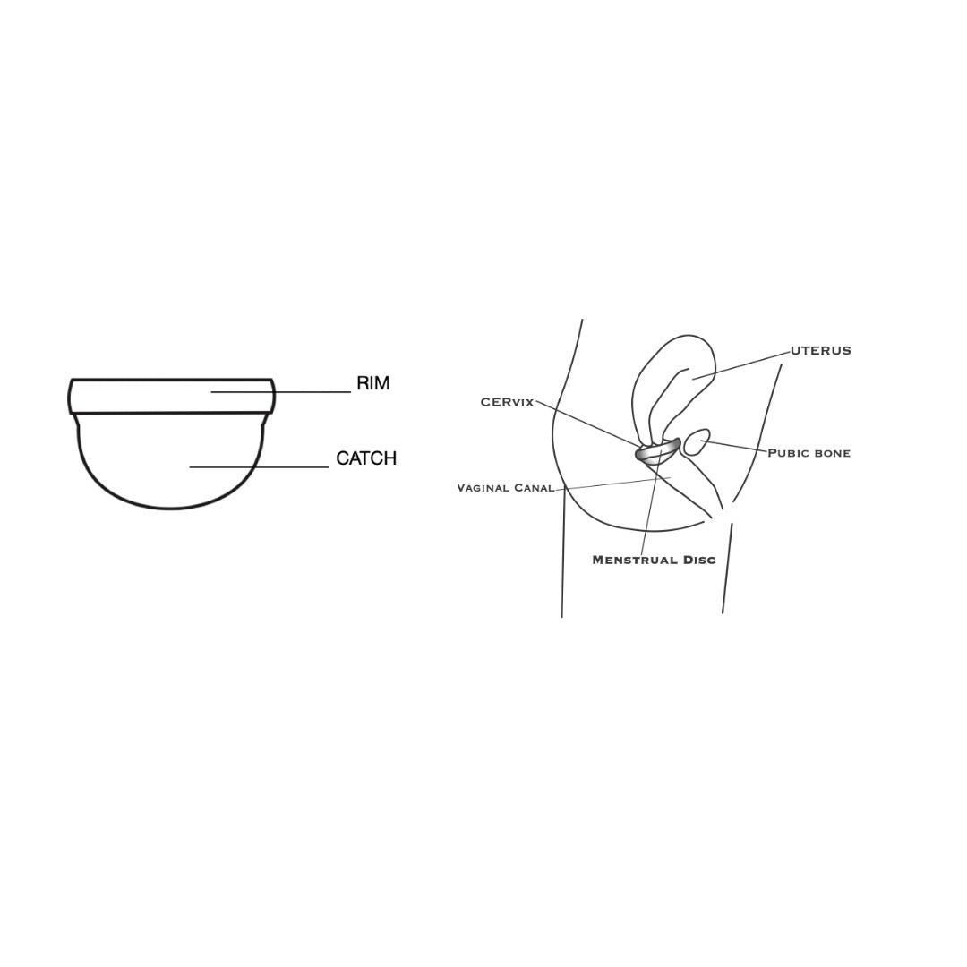 Diagram of a menstrual disc showing rim and catch areas, plus anatomy view of disc placement inside the vaginal canal.